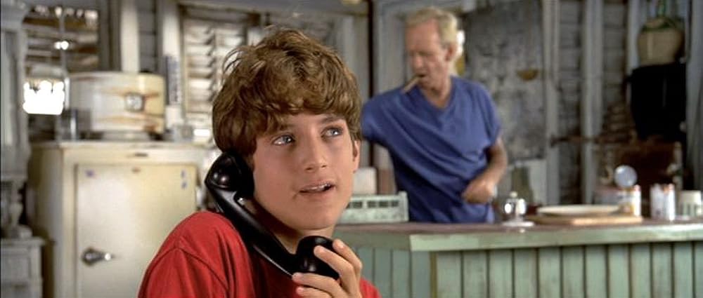 フリッパーの画像