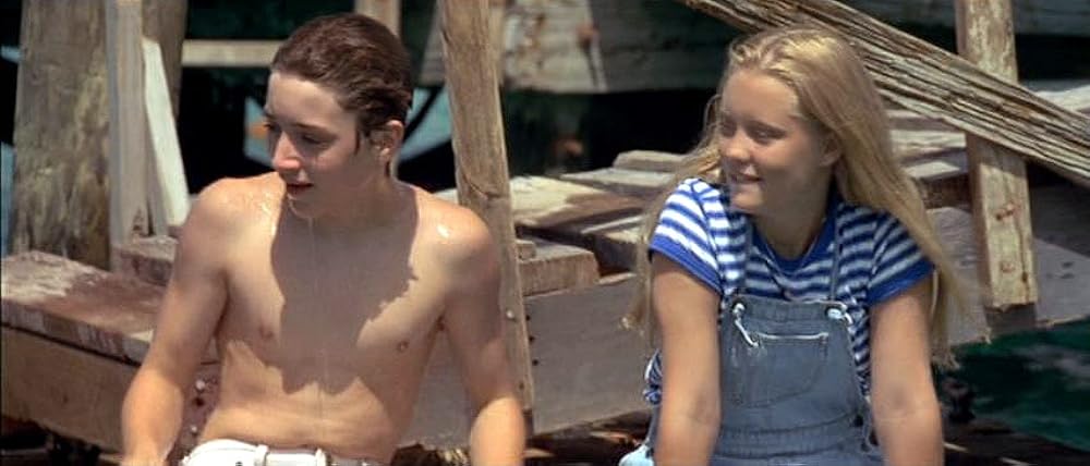 フリッパーの画像