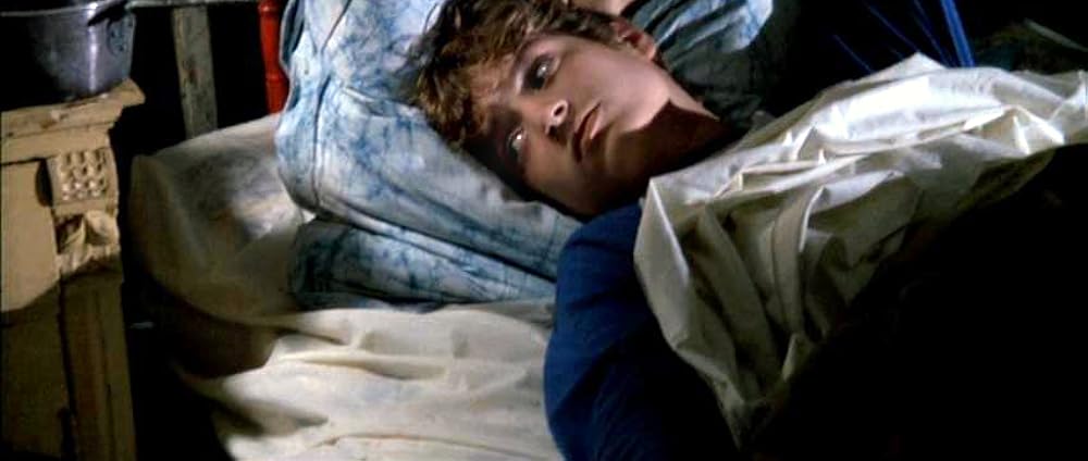 フリッパーの画像