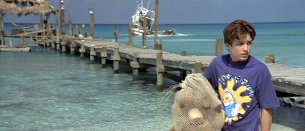 フリッパーの画像