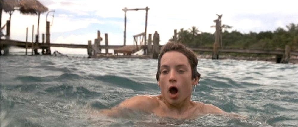 フリッパーの画像