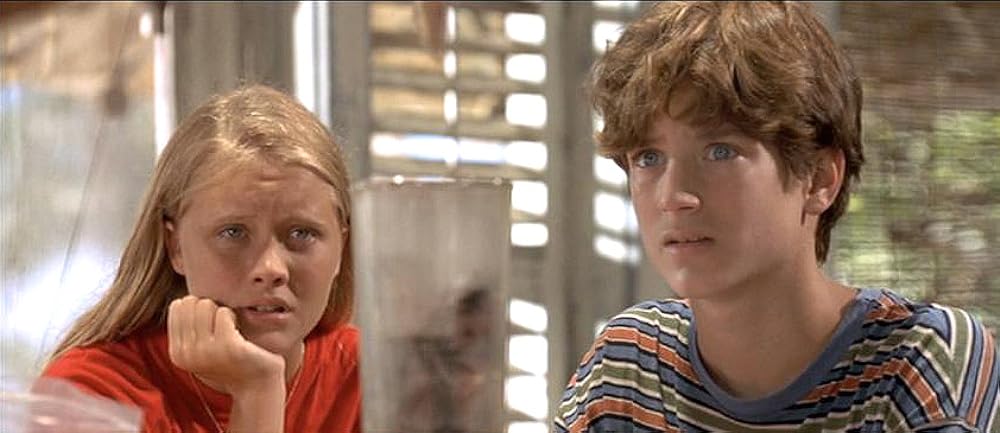 フリッパーの画像