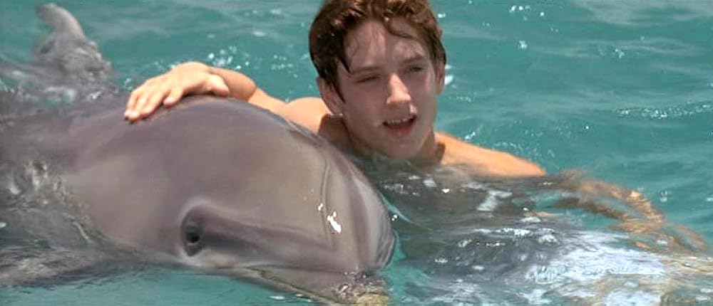 フリッパーの画像