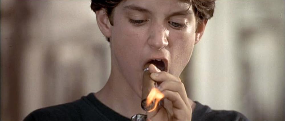 フリッパーの画像