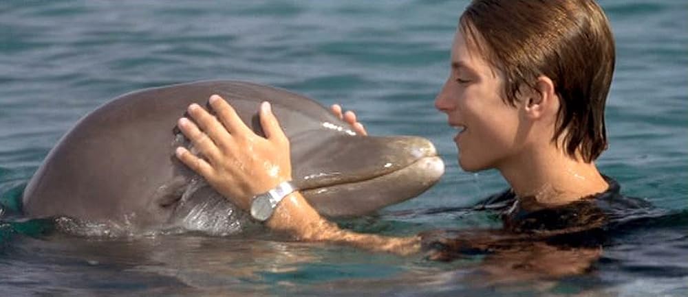 フリッパーの画像