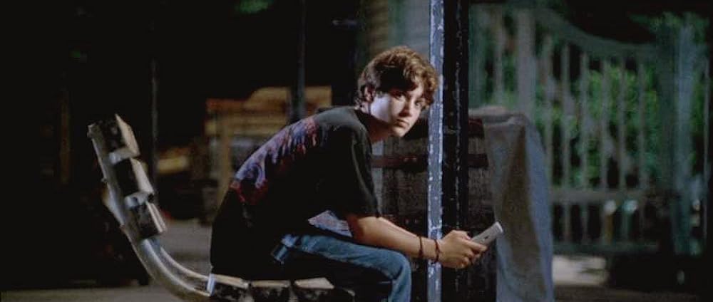 フリッパーの画像