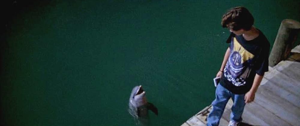 フリッパーの画像