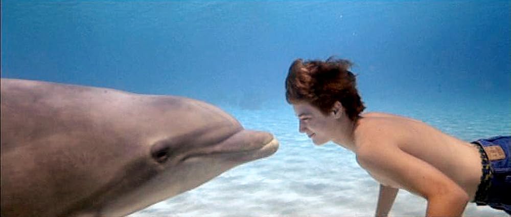 フリッパーの画像