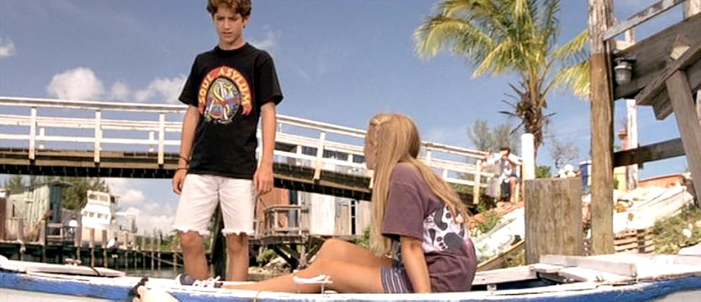 フリッパーの画像