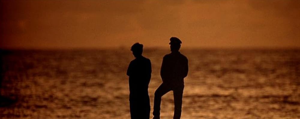 フリッパーの画像