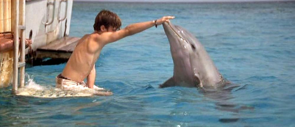 フリッパーの画像