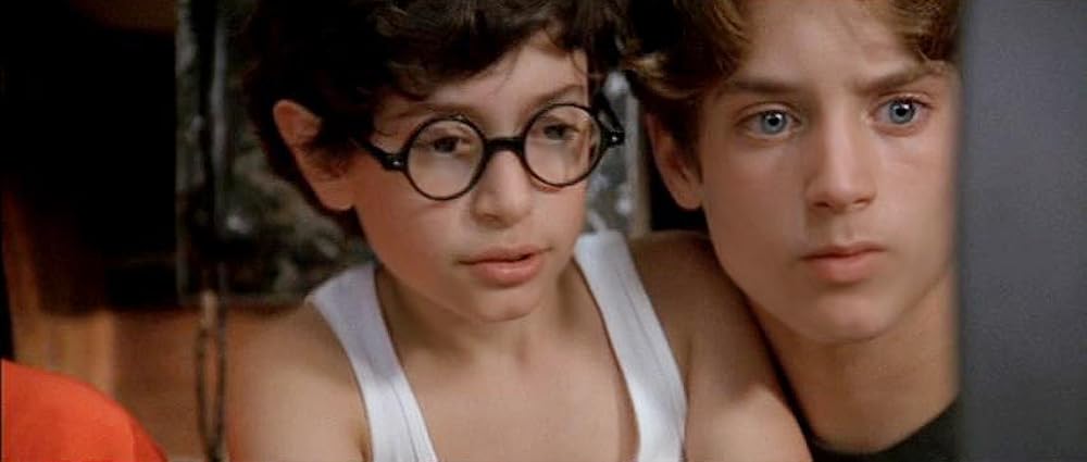 フリッパーの画像