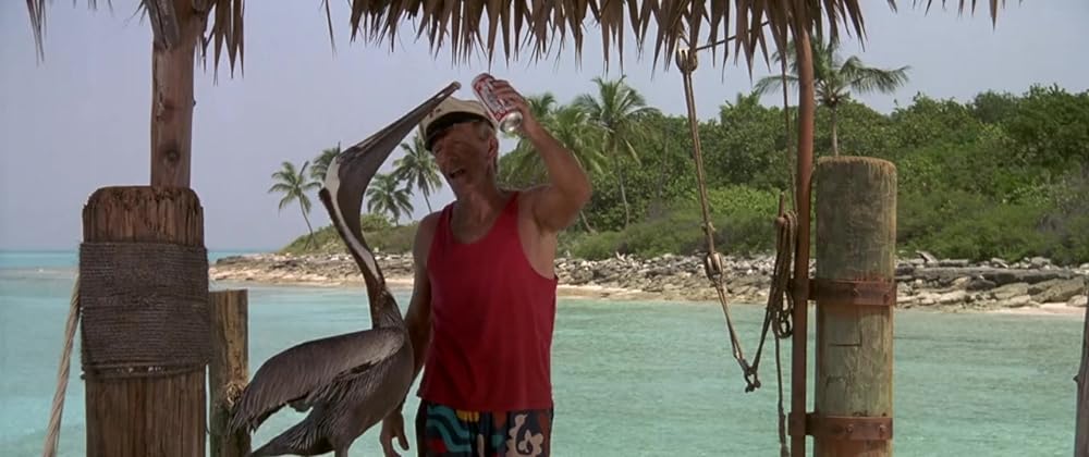 フリッパーの画像