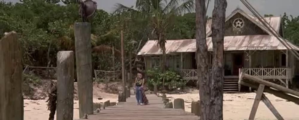 フリッパーの画像