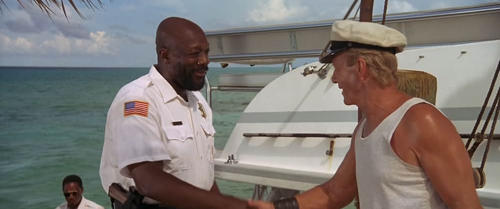 フリッパーの画像