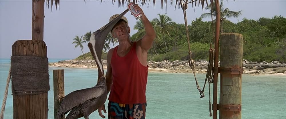 フリッパーの画像