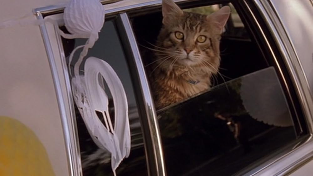 私の愛したゴーストの画像