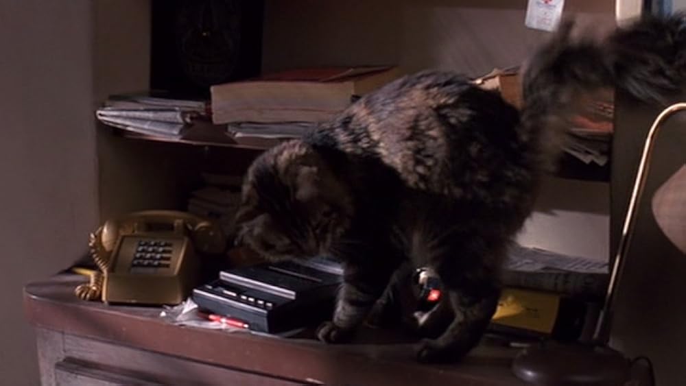 私の愛したゴーストの画像