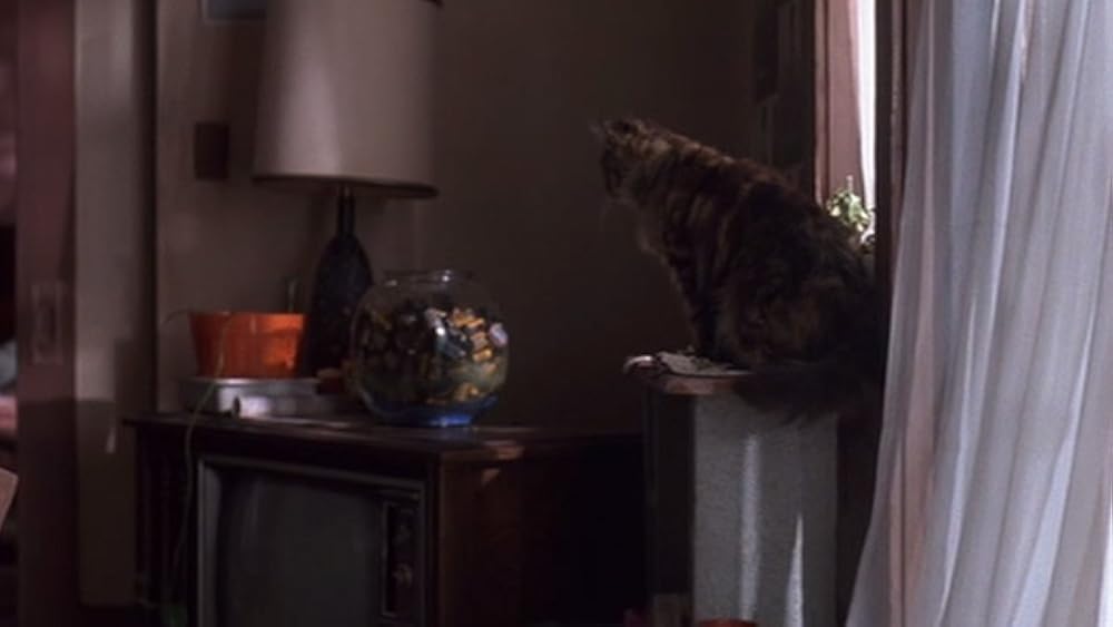 私の愛したゴーストの画像