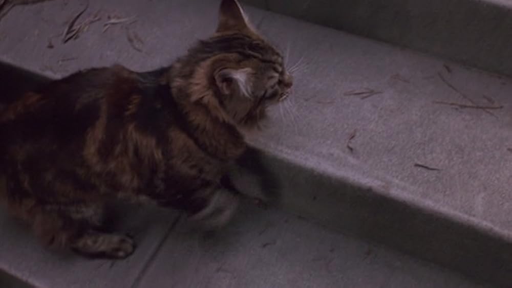 私の愛したゴーストの画像