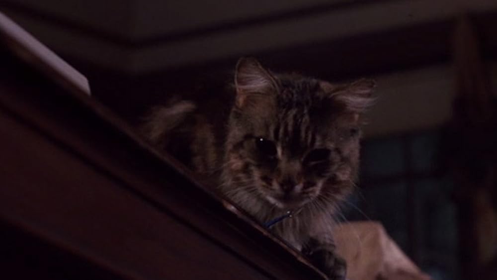 私の愛したゴーストの画像