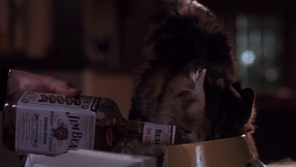 私の愛したゴーストの画像