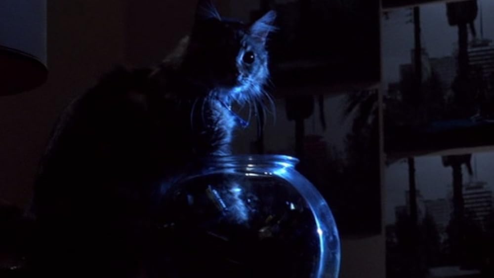 私の愛したゴーストの画像