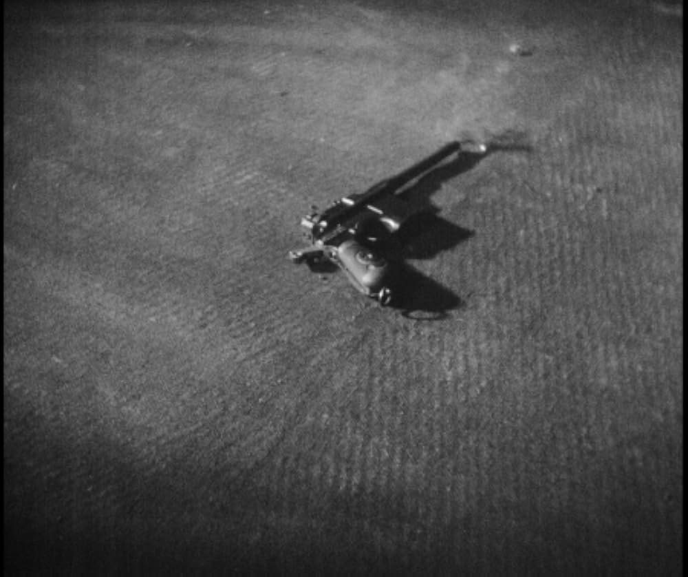 人間廃業の写真