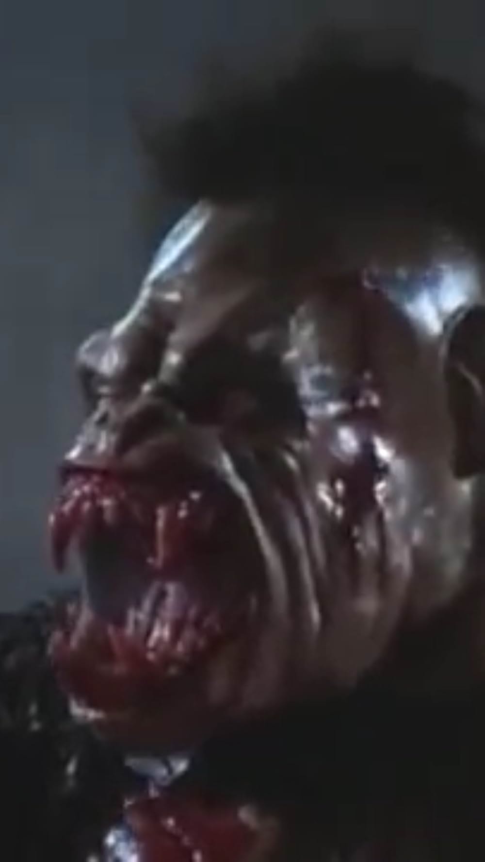 ロウヘッド・レックスの写真