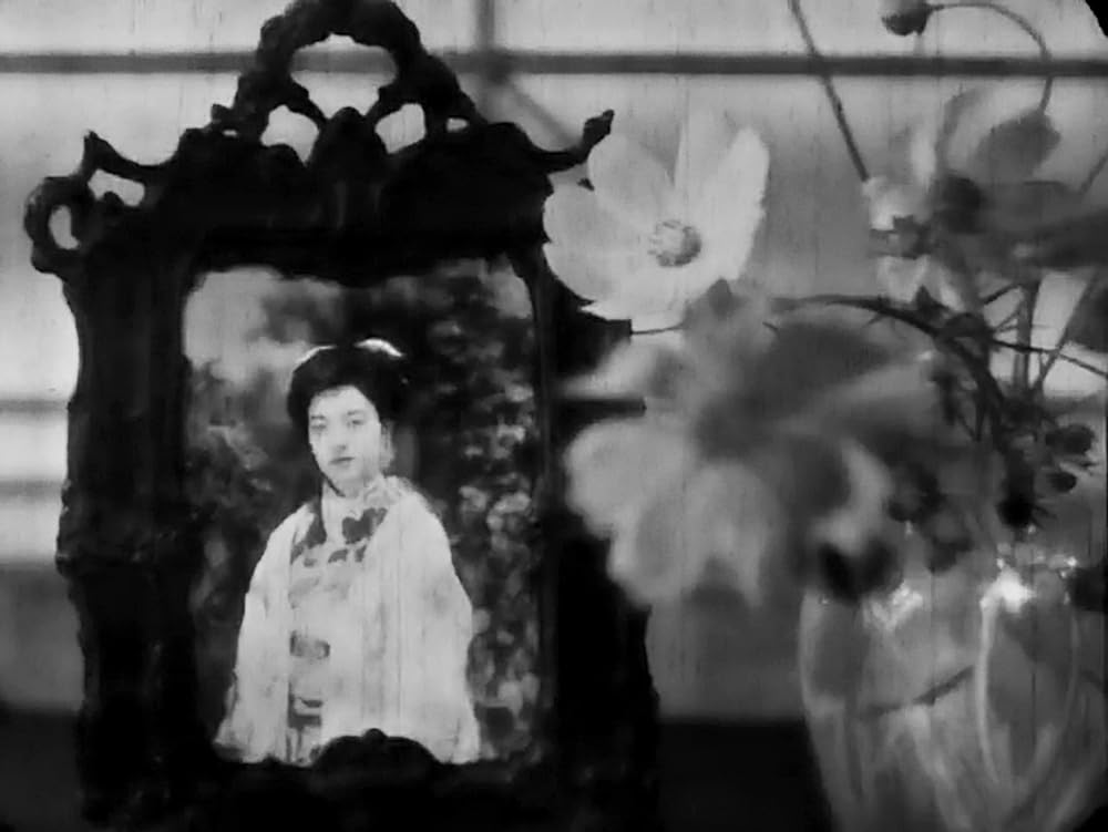 虞美人草の画像