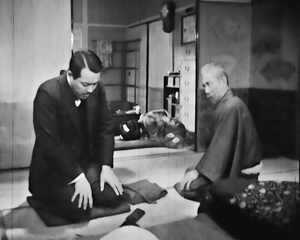 虞美人草の画像