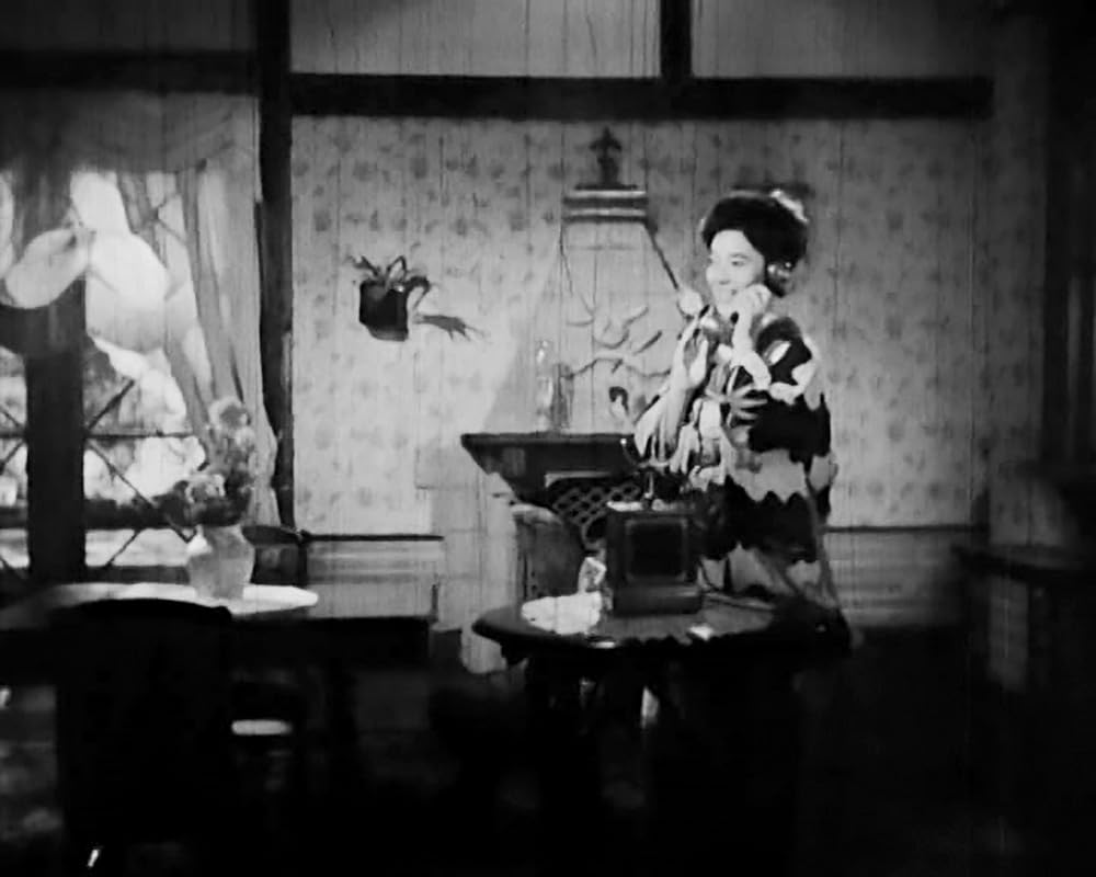 虞美人草の画像