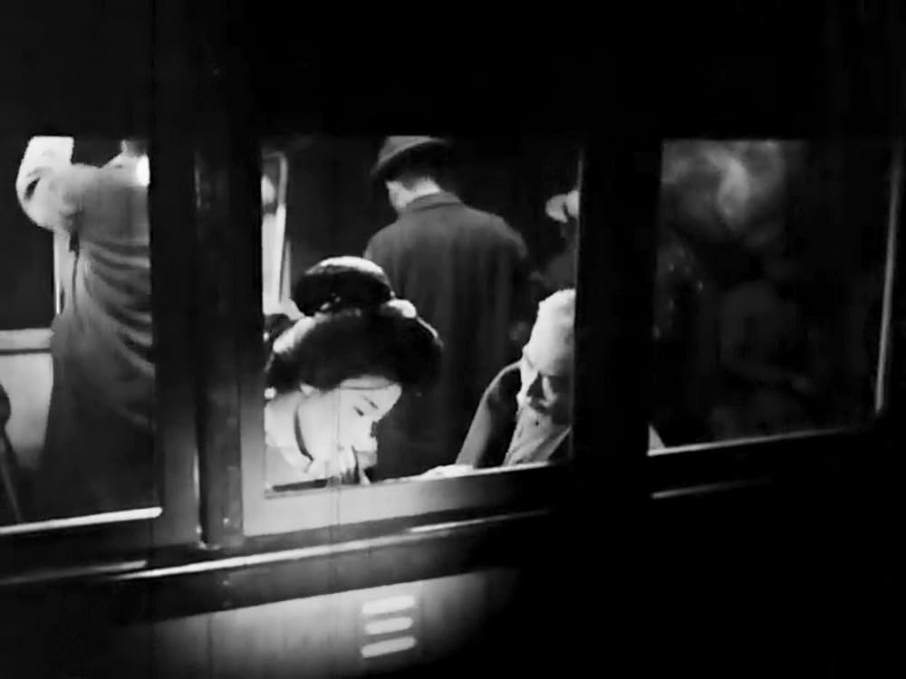 虞美人草の画像