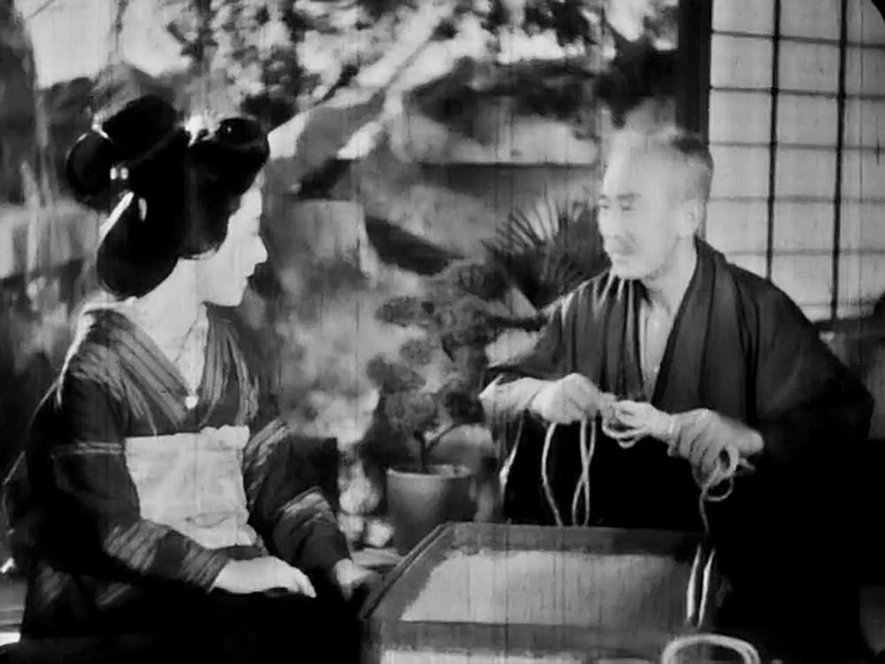 虞美人草の画像