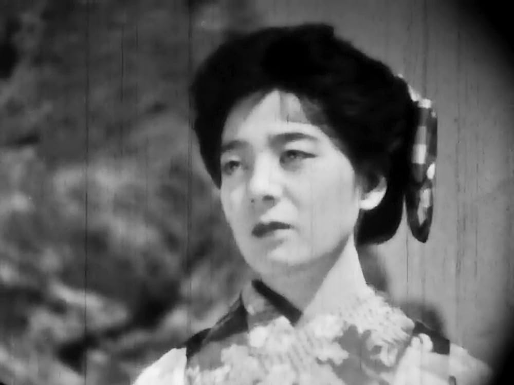 虞美人草の画像