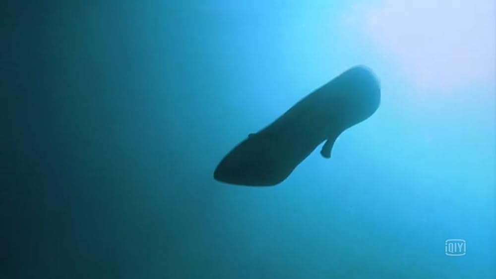 IN DREAMS／殺意の森の画像