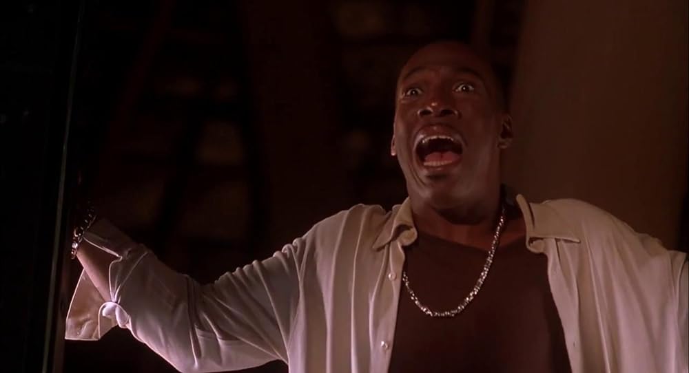 ビッグムービーの画像