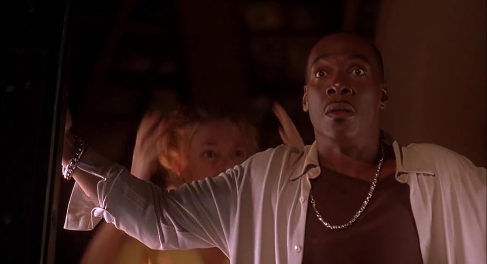 ビッグムービーの画像