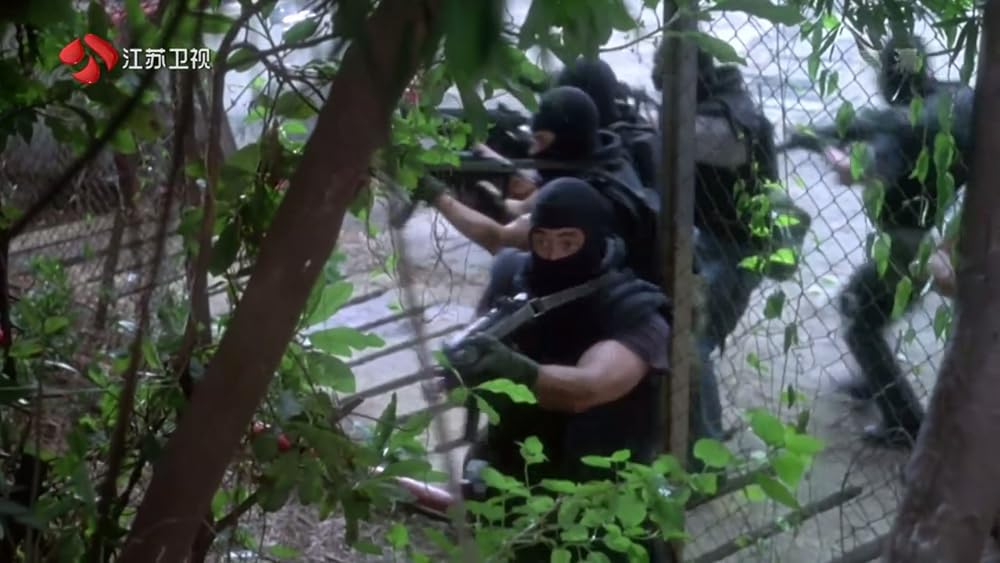 FIRST OPTION 飛虎の画像