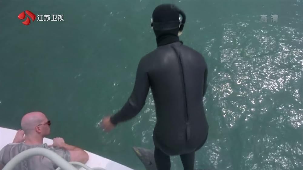 FIRST OPTION 飛虎の画像