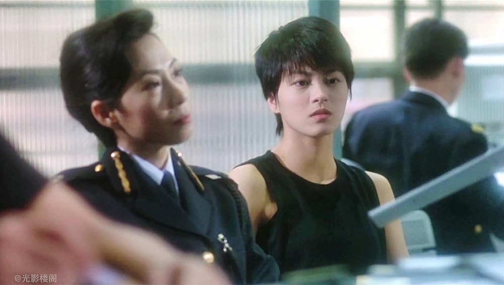 FIRST OPTION 飛虎の画像