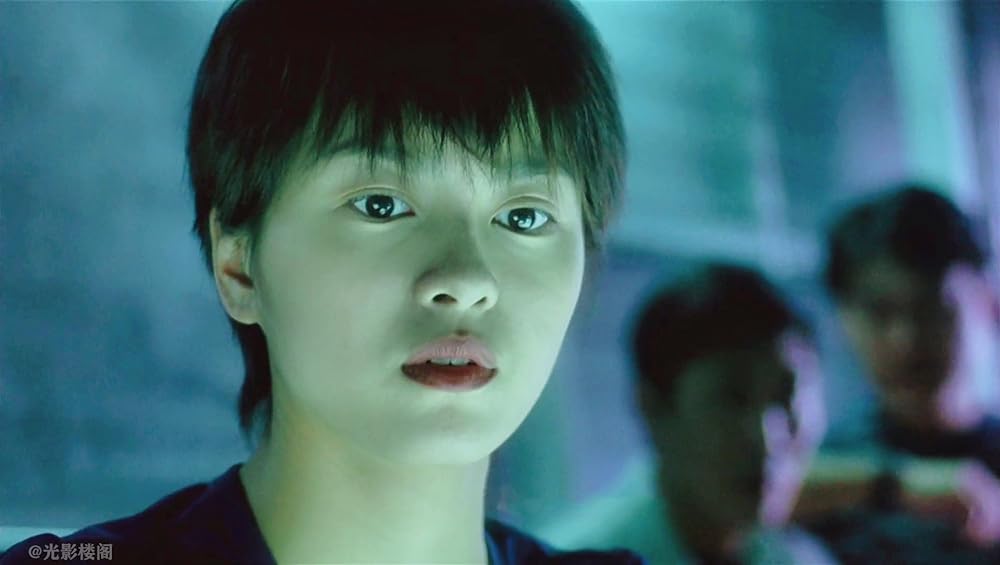 FIRST OPTION 飛虎の画像