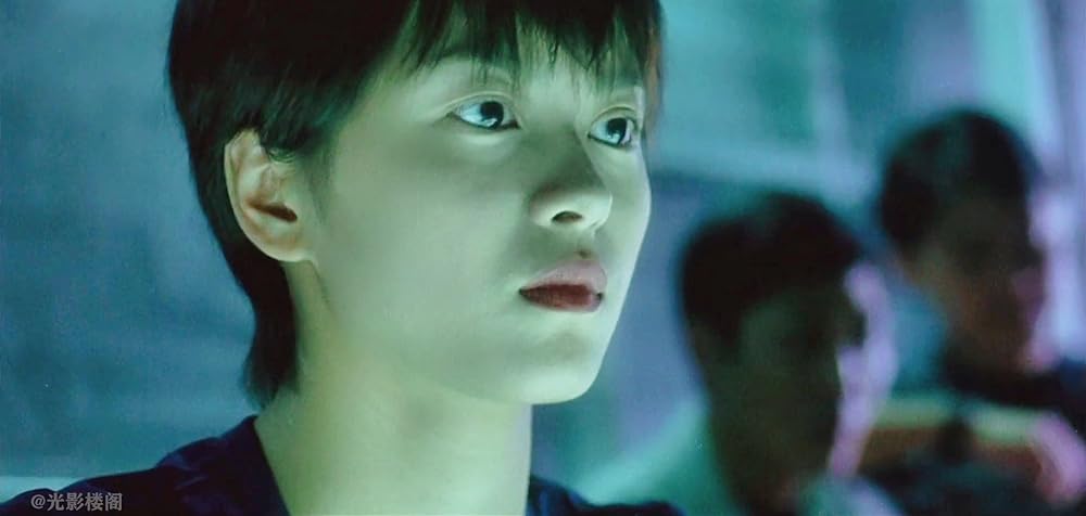 FIRST OPTION 飛虎の画像