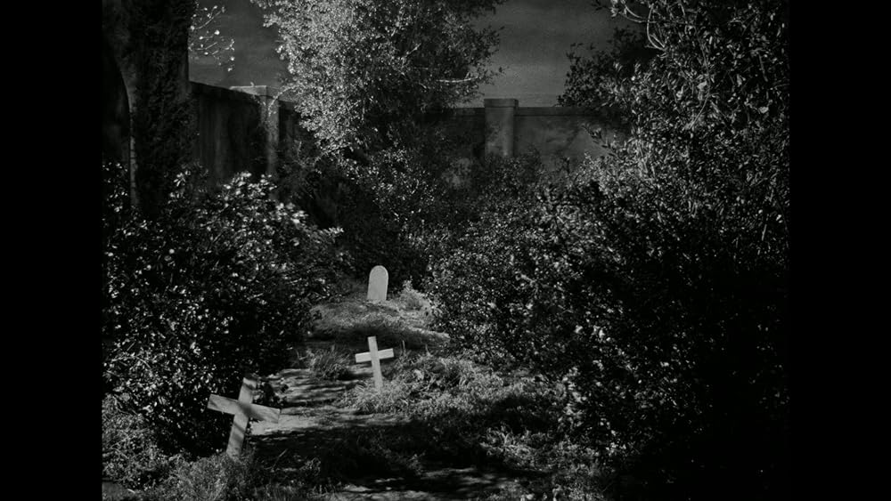 レオパルドマン 豹男の画像