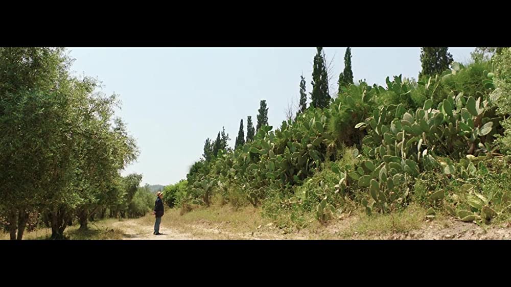 天国にちがいないの画像