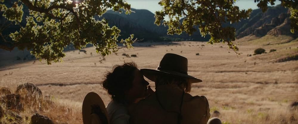 The Dead Don't Hurt（原題）の画像