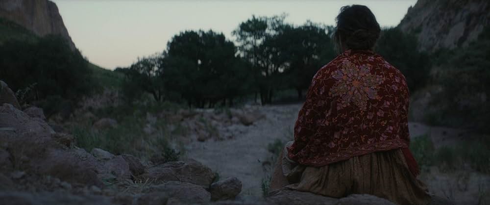 The Dead Don't Hurt（原題）の画像