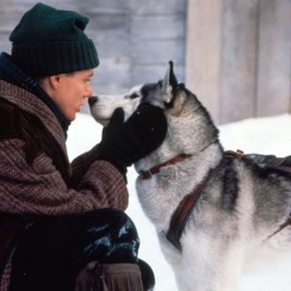 アイアン・ウィル／白銀に燃えての画像