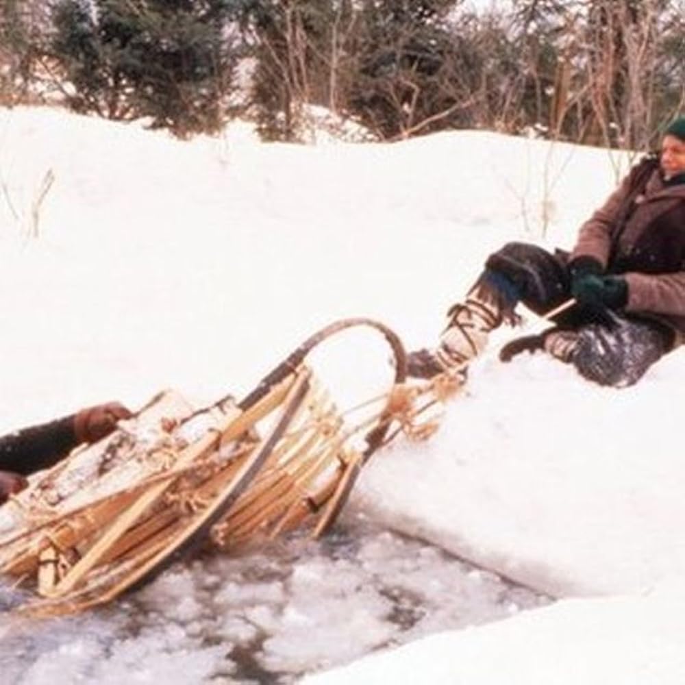 アイアン・ウィル／白銀に燃えての画像