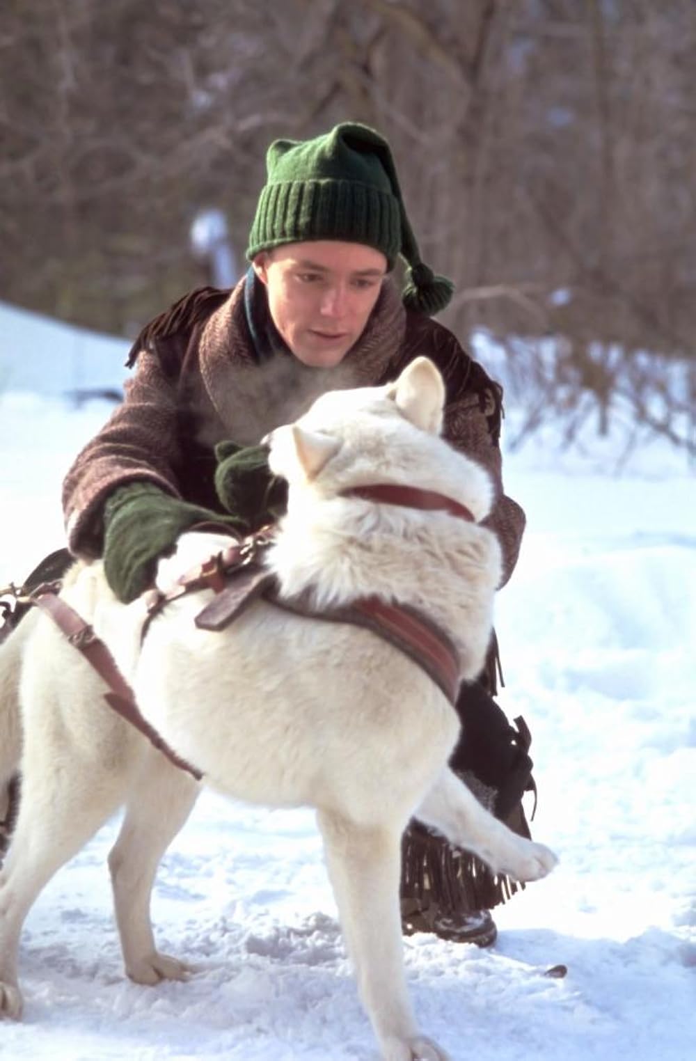 アイアン・ウィル／白銀に燃えての画像